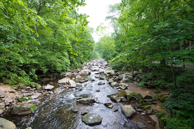 Rock creek park Free Photo